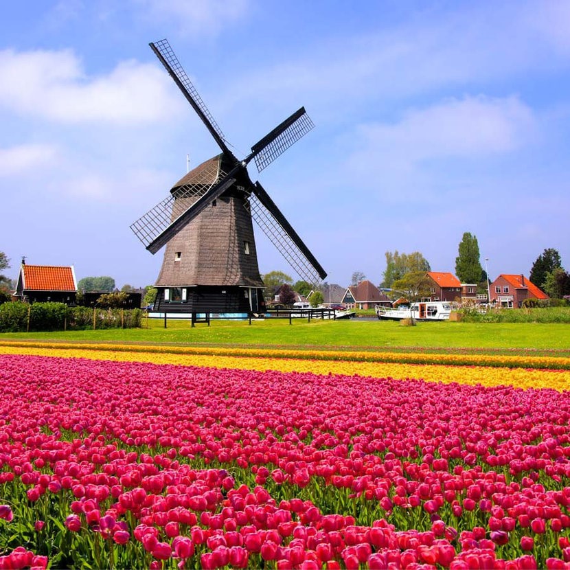 چطور می‌توان برای کار به هلند مهاجرت کرد؟